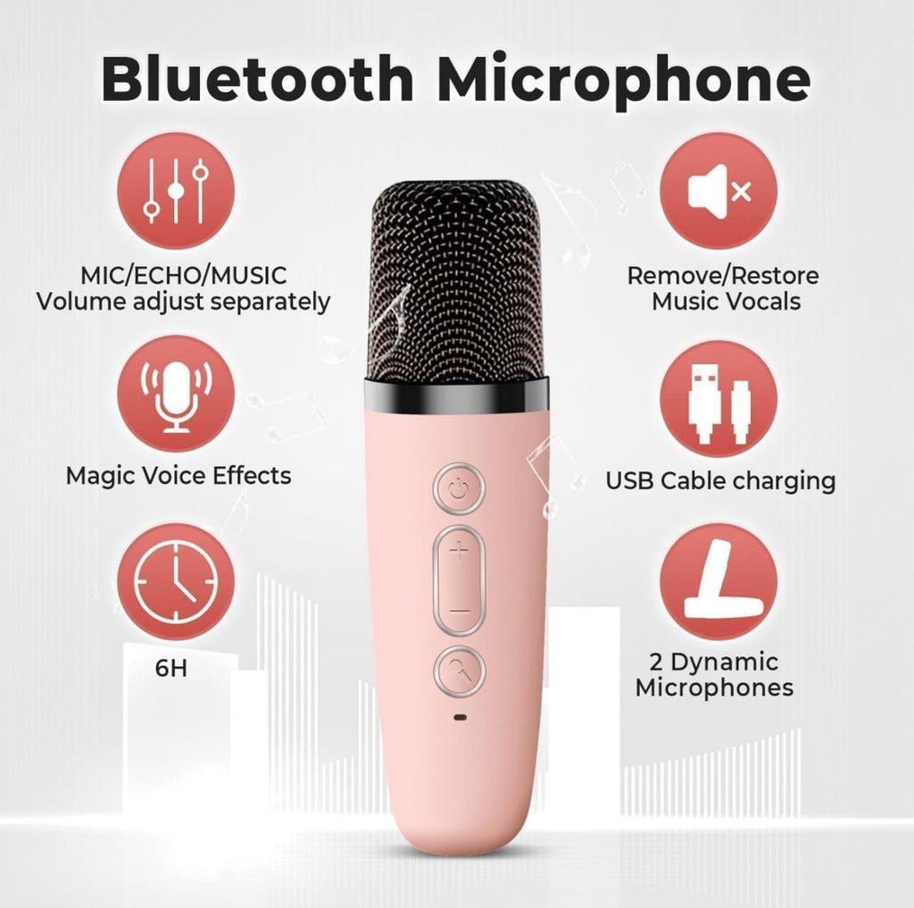 Karaoke Mic and Speaker